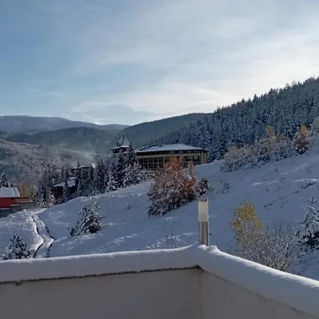 сютка View Penthouse *